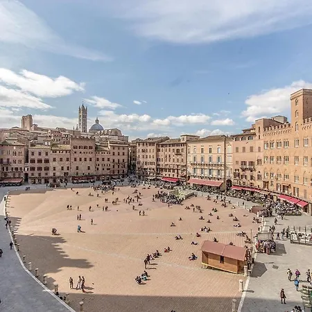 Ibiscus * Pievescola