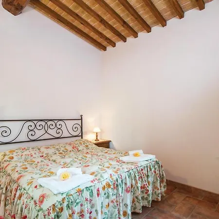 Ibiscus * Pievescola